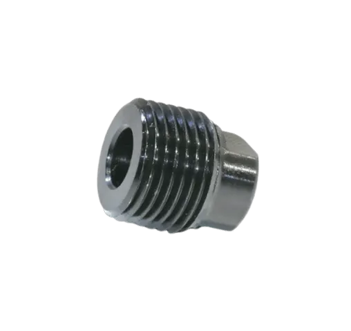 Plug - Oil | R075031